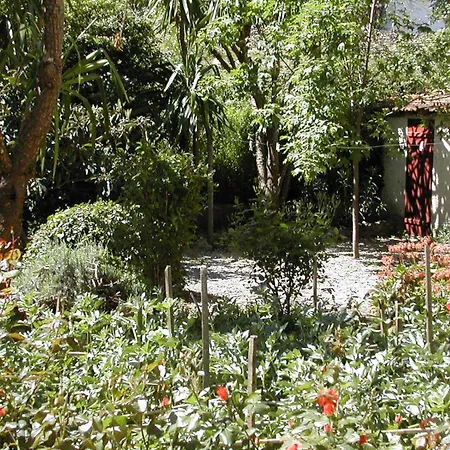 Castel Mistral ジュアン・レ・パン